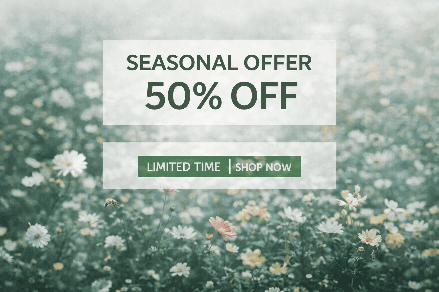 Seasonal Offer